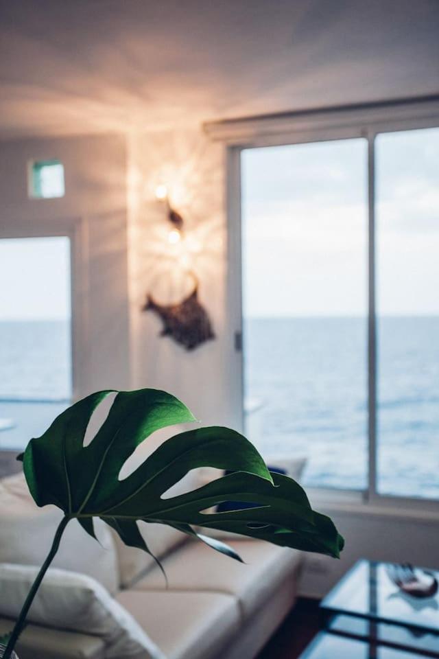 Canary Casita Next To The Atlantic Ocean Radazul Værelse billede